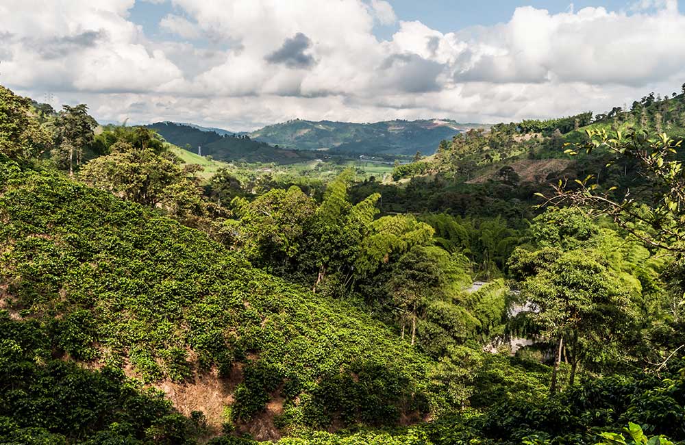 Eje Cafetero Colombiano