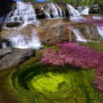 caño cristales