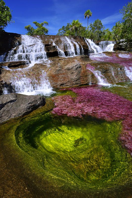 caño cristales