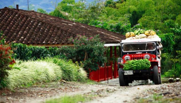 Eje cafetero Colombiano