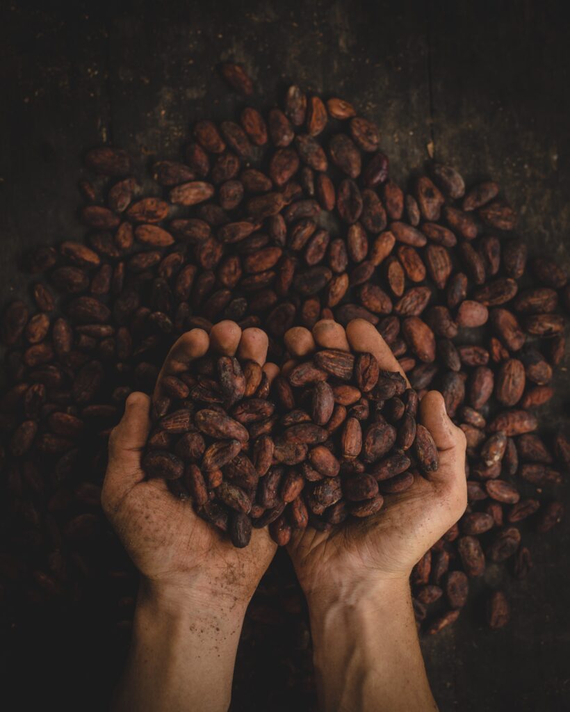 ¡Vive la magia de la Fiesta Nacional del Café en Calarcá, Quindío, Colombia!