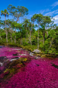 Caño Cristales, Meta