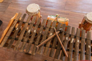 Instrumentos tradicionales colombianos