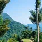 Ciudad perdida