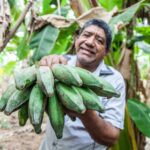 Turismo gastronómico colombiano, un viaje lleno de sabores únicos por los platos típicos de Colombia