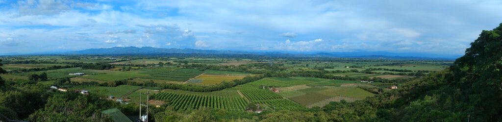 Viñedos de La Unión, Valle del Cauca