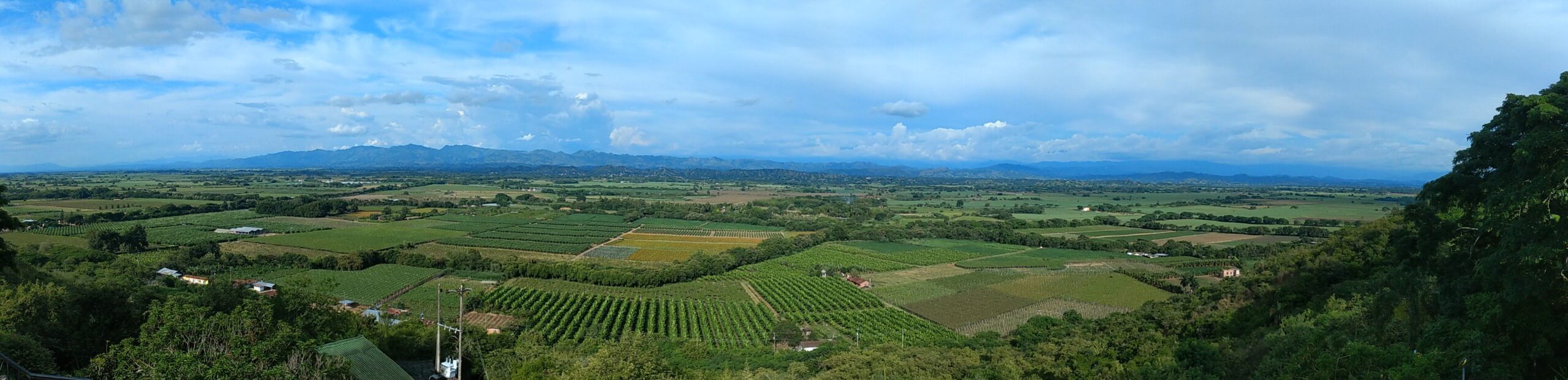 Carnaval de la Uva y el Vino en el Valle del Cauca: catando el encanto vitivinícola de la región