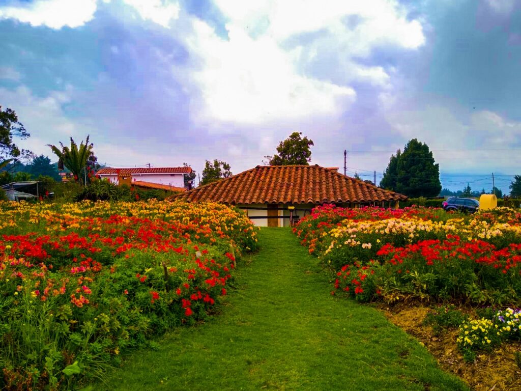 Finca de flores en Santa Elena, cerca de Medellín. Allí surgió y se conserva la tradición del desfile de silletas en la Feria de las Flores. Foto: Finca Alquería del Silletero