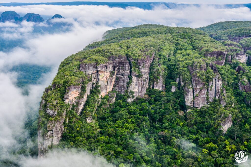 El Parque Nacional Chiribiquete fue declarado Patrimonio Mixto de la Humanidad por la cantidad de biodiversidad y culturas ancestrales que alberga. Foto: Parques Nacionales Naturales