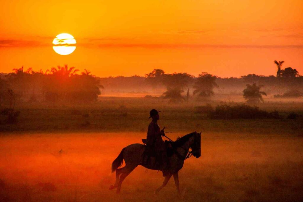 Amanecer sobre las llanuras de Puerto Lleras, Meta. Foto: www.avalturistica.com